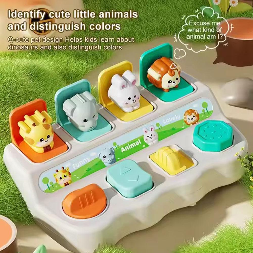 Montessori Pop up Animal Toys  – Photography Jokes Bewertung und Preis