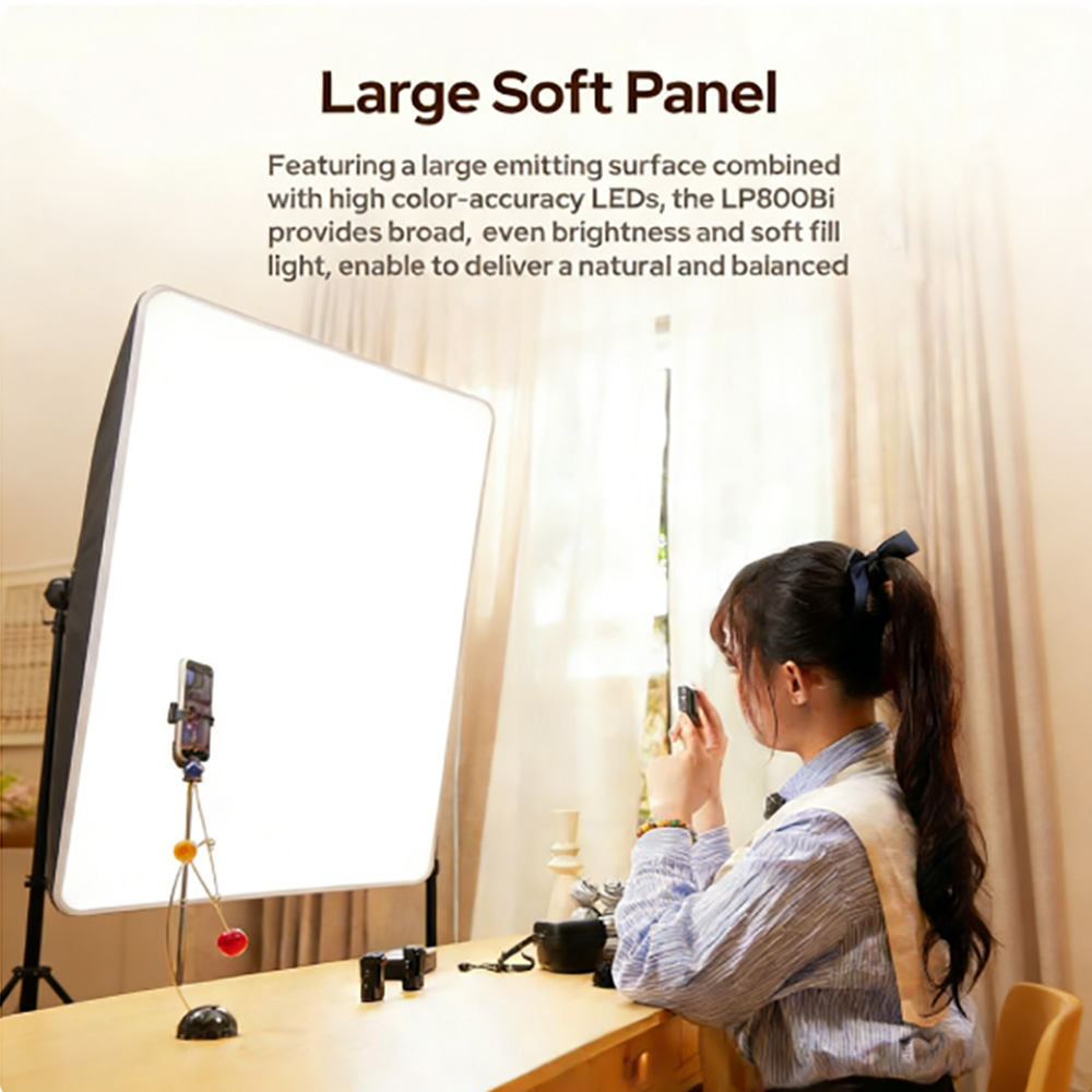 Godox LP800Bi LITEMONS Bi-Colo – Video Led Light Panel Bewertung und Preis