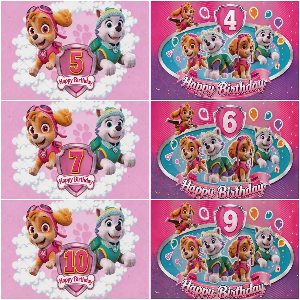 Animation PAW Patrol Ryder Sky – Photography Composition Bewertung und Preis