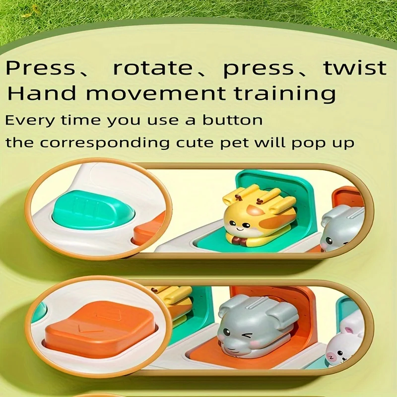 Montessori Pop-Up Animal Box T – Photography Jokes Bewertung und Preis